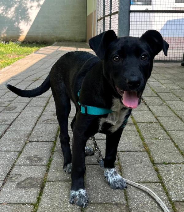 ELETTRA CUCCIOLA STUPENDA Foto 3